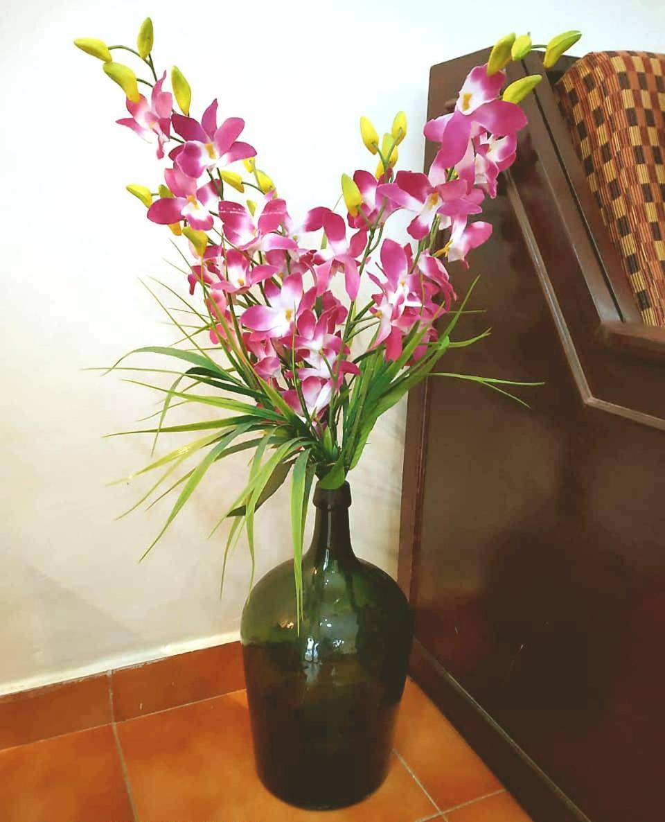 Diana Apartments Candolim Extérieur photo